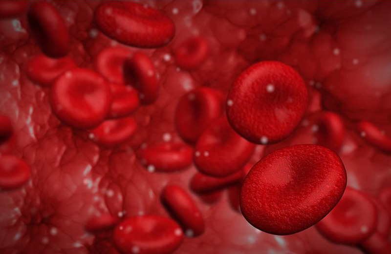 prp-therapy-blood-platelets